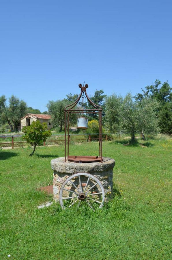 Гостьовий будинок La Casina Degli Olivi Seggiano Екстер'єр фото